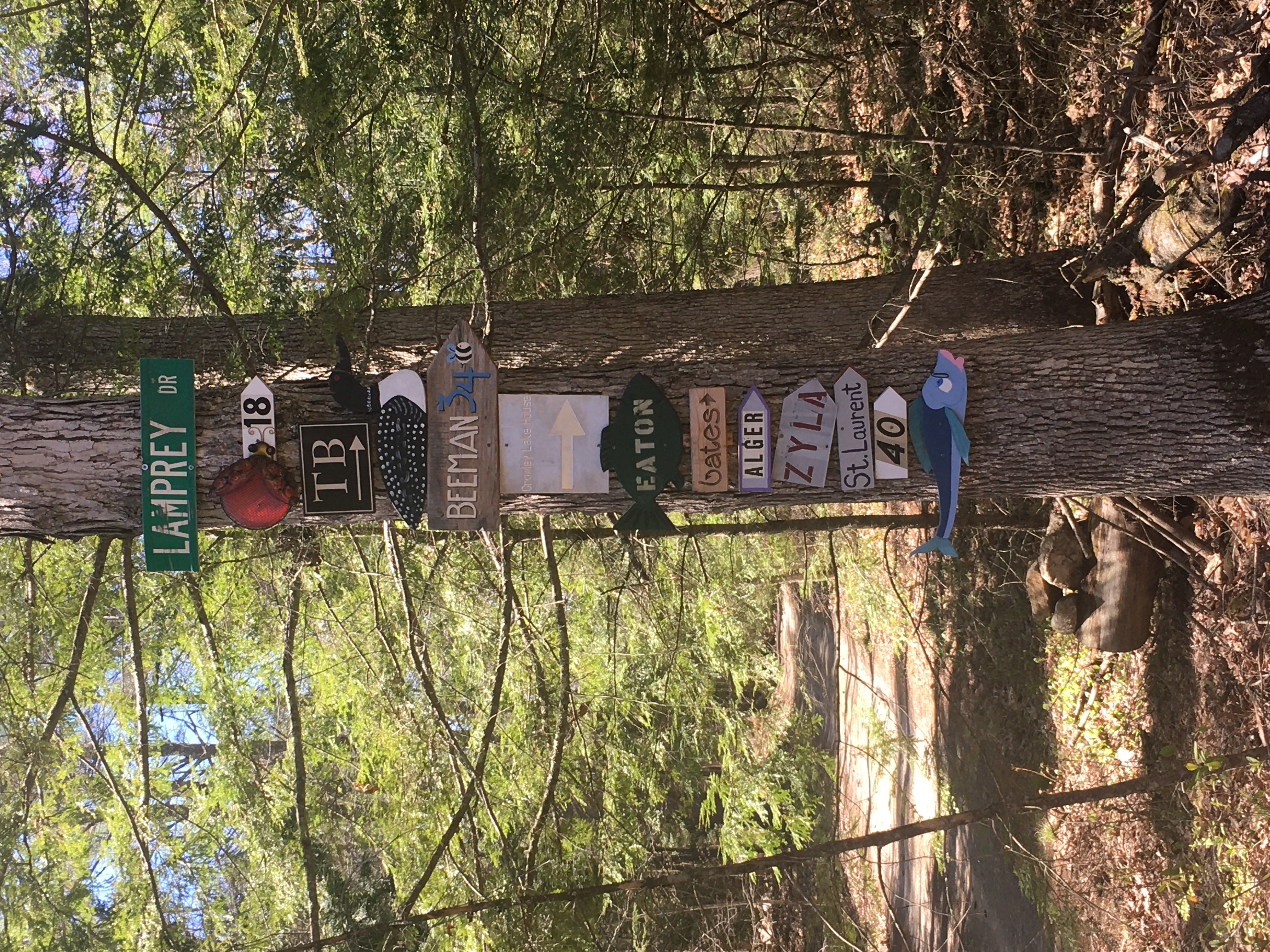 camp road signs